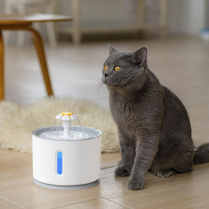 Celery Pets Cat Water Fountain with Carbon Filter