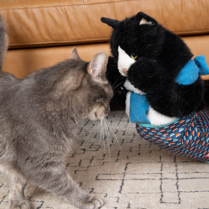 YoPoll Cat Wrestling Glove