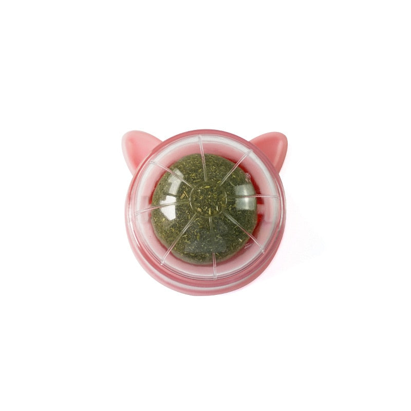 Celery Pets Catnip Twin Pack