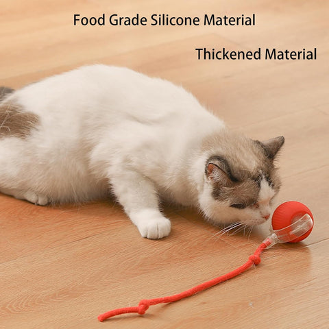 Cat Grass Teething Stick
