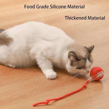 Cat Grass Teething Stick