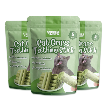 Cat Grass Teething Stick