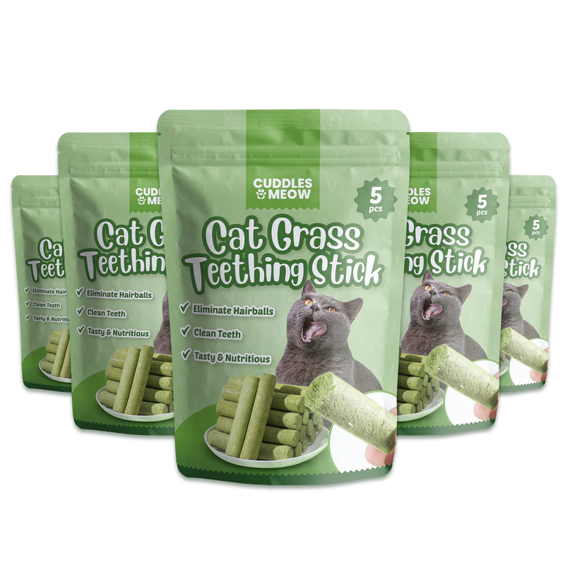 Cat Grass Teething Stick