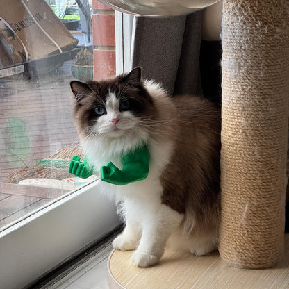 Cat Superhero Muscle Costume Collar