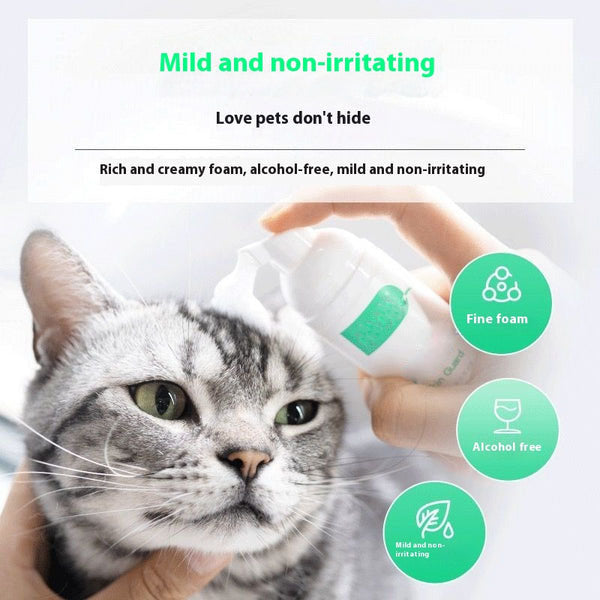Leave-On Disinfecting Foam for Dogs & Cats